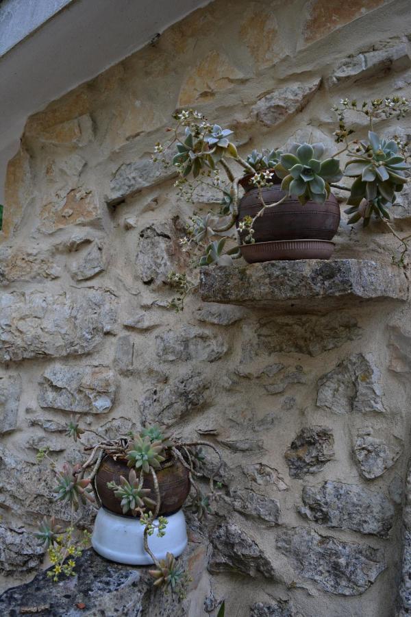 Vila Casa Da Pedra Ancião Exteriér fotografie