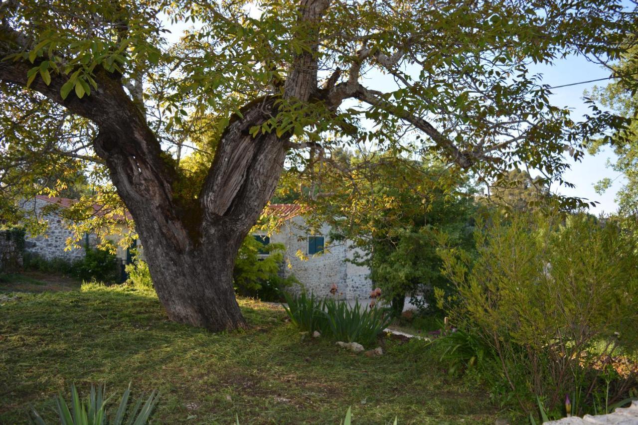 Vila Casa Da Pedra Ancião Exteriér fotografie